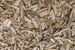 biomass boilers Hoo Meavy